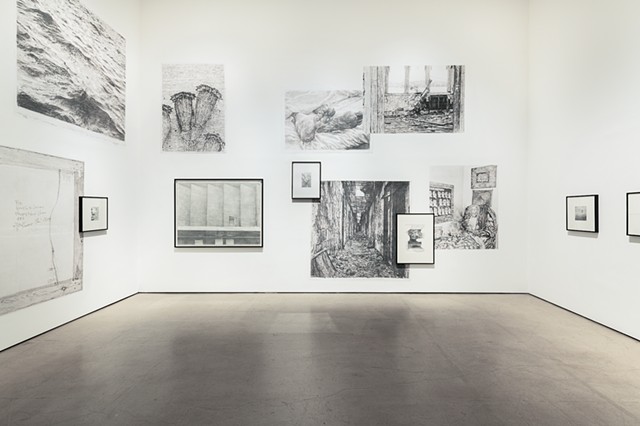 Briefly Gorgeous, installation view at Gallery Hyundai, Seoul