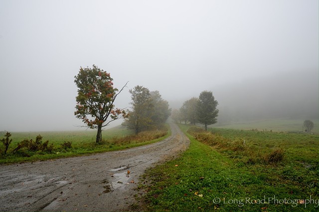 Long Road Photo