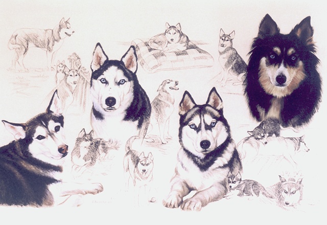 Pastel Portrait of Dogs by Sally Baker Keller