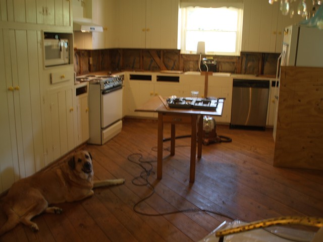 Tim's dog, Shelby watches our every move.
I and helpers removed the linoleum flooring and plywood underlay in prep for new pecan floors. The wood here is the subfloor.