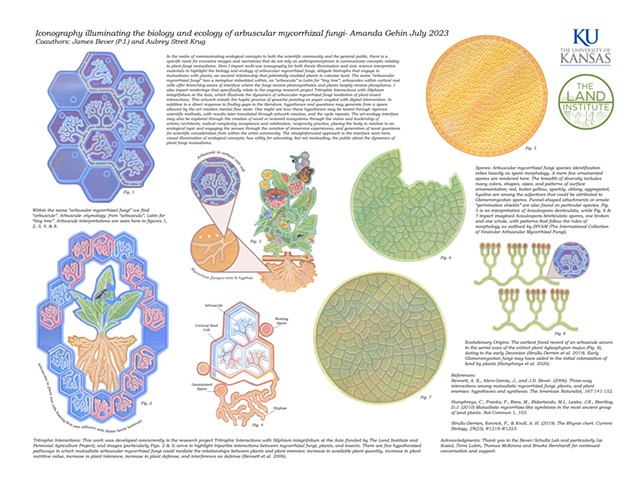 Iconography illuminating the biology and ecology of arbuscular mycorrhizal fungi