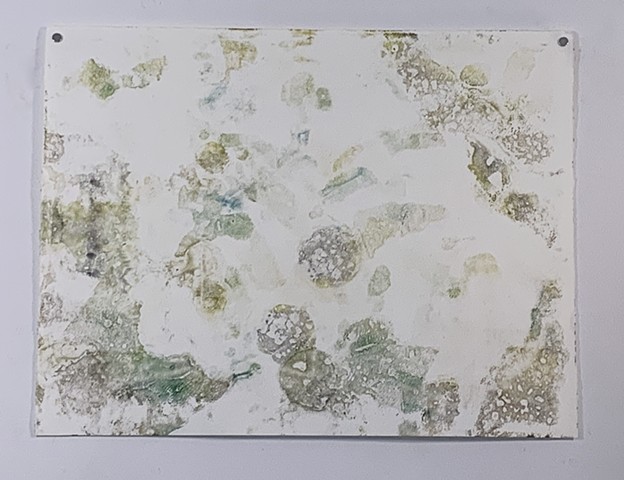 Microcystis abstraction IV-  encaustic monotype on Rives lightweight, 26" x 20"