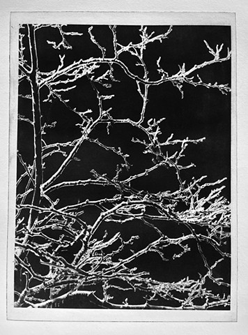 Seeing Through the Icebound