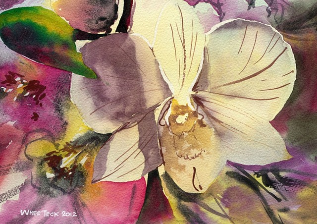 20120423 Orchid