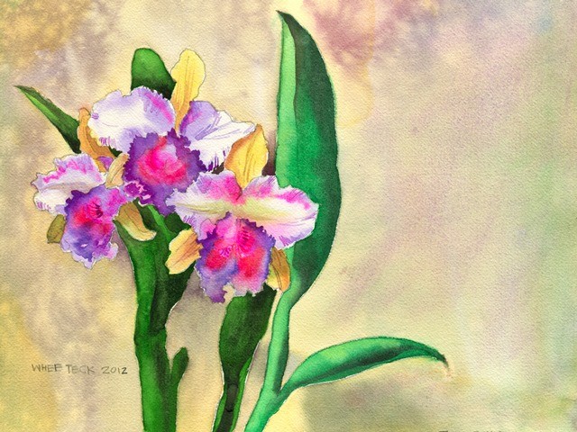 C2. Thai Orchid