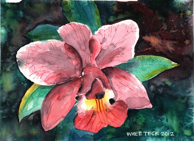 Whee Teck, Watercolor, Watercolour, Bright, Intense, Colors, Colours, Drib Drab.