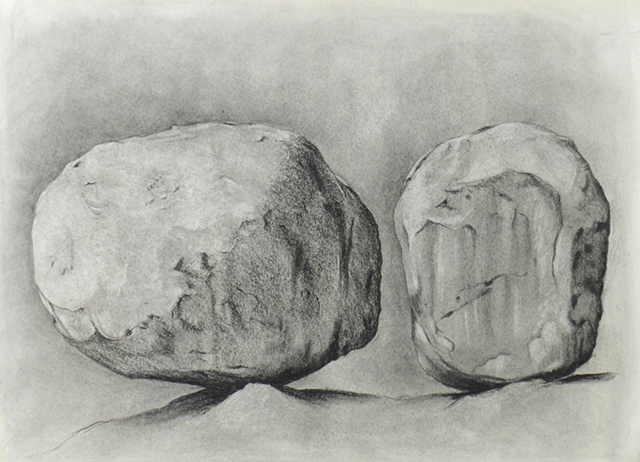 Charcoal drawing, still life on paper by female artist Karen S. Purdy