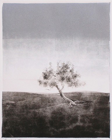 Crooked Tree - SOLD