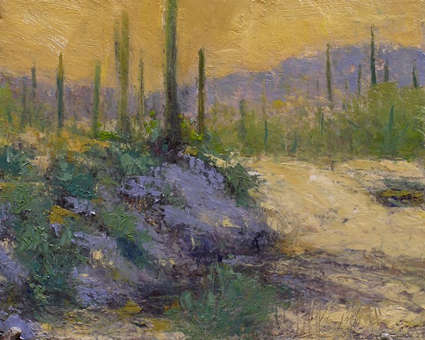 SHADE (Saguaro National Monument East ) SOLD
