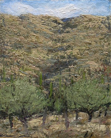 Ravine (Saguaro National Monument East)