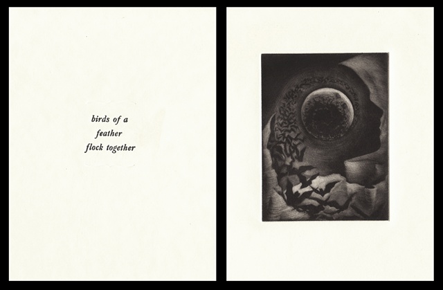 plate five:

"birds of a feather flock together"

2006