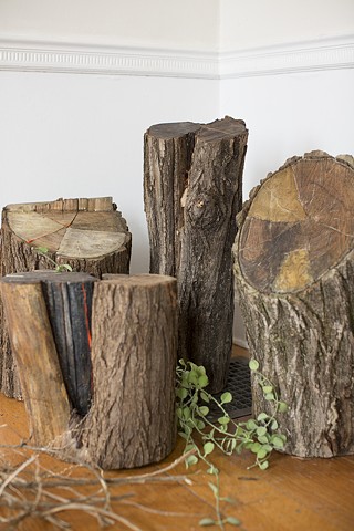 Tree stumps, beeswax, mud, cadmium orange