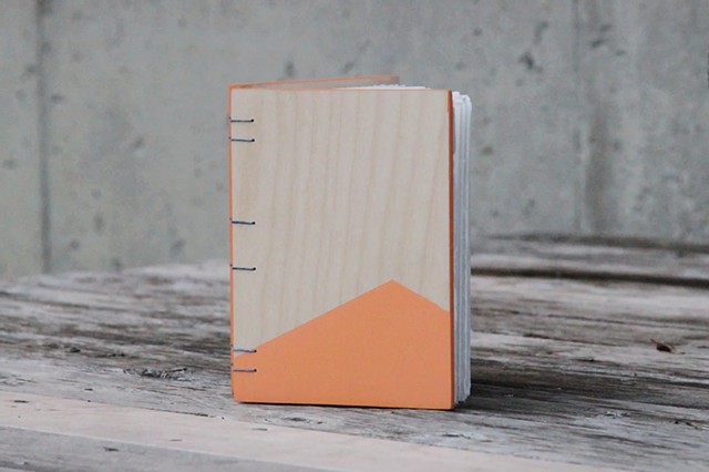 small notebook - apricot + sage