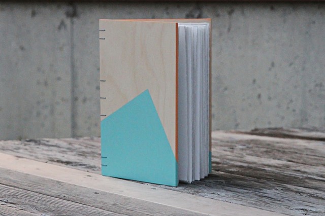 large notebook - robin's egg + apricot