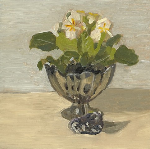 Primrose and Shell