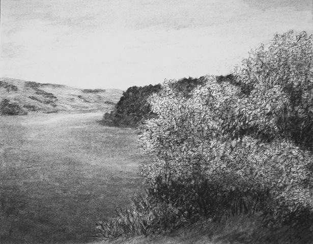 Katherine Meyer drawing charcoal Point Reyes California ocean beach Pacific