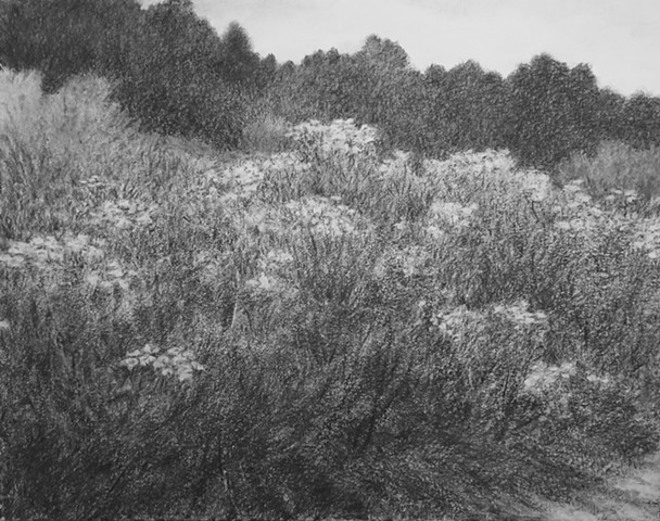 Katherine Meyer charcoal drawing desert New Mexico