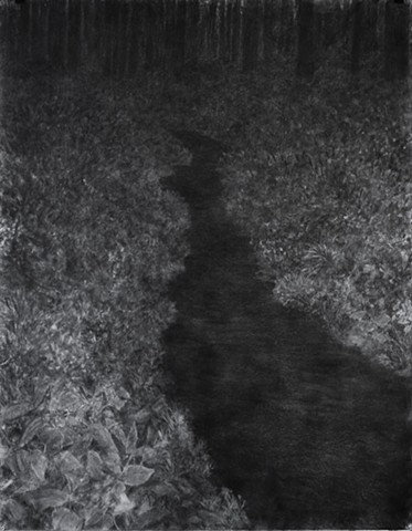 Dark Stream out of the Woods