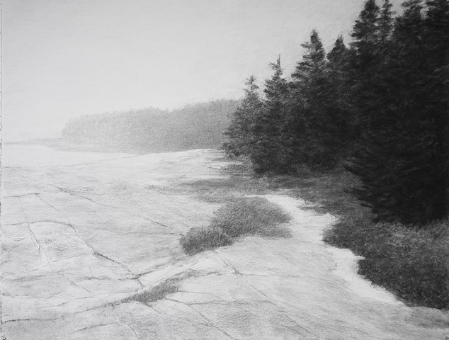 Coming Out of the Fog