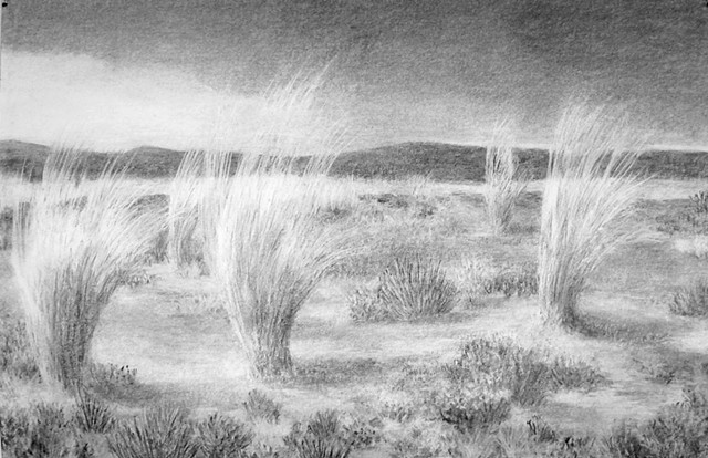 Katherine Meyer charcoal drawing desert mountains New Mexico