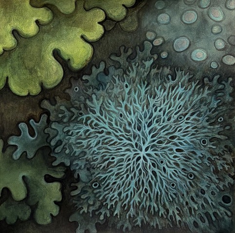 Lichen Study 4