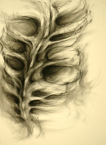 Whelk Spine