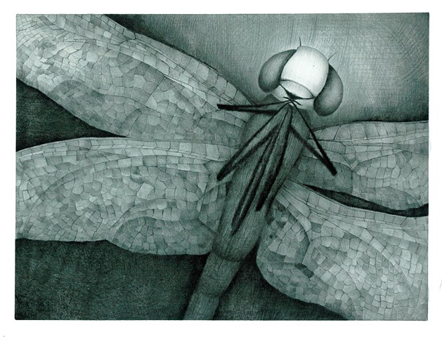 Dragonfly Portrait