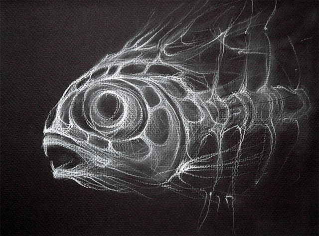 Fish Skeleton sketch