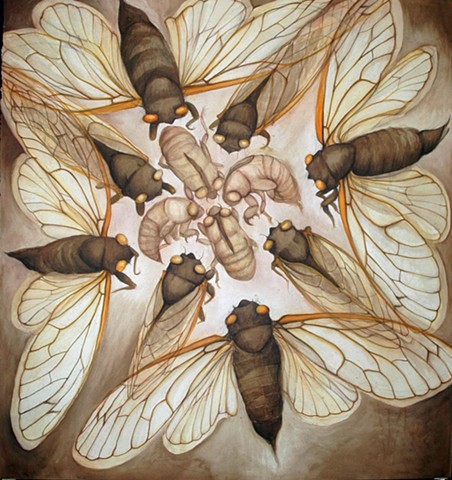 Cicada Mandala