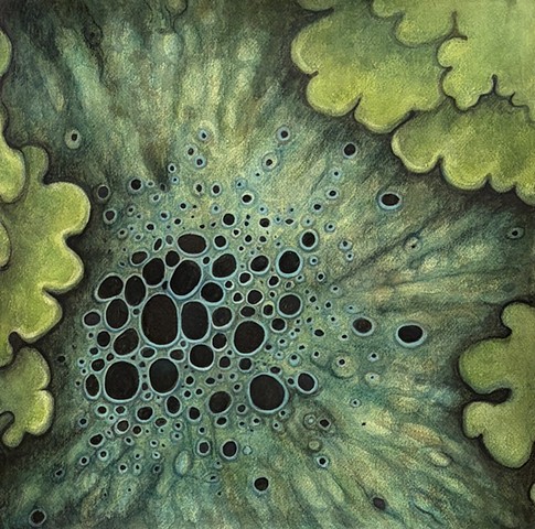 Lichen Study 2