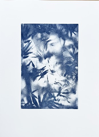 Flutter 1