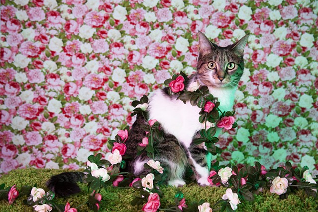 small tabby and white cat, seated facing right, looking directly at viewer, draped with garlands of pink and white faux flowers with green leaves, green faux grass surface and pink/white floral printed background