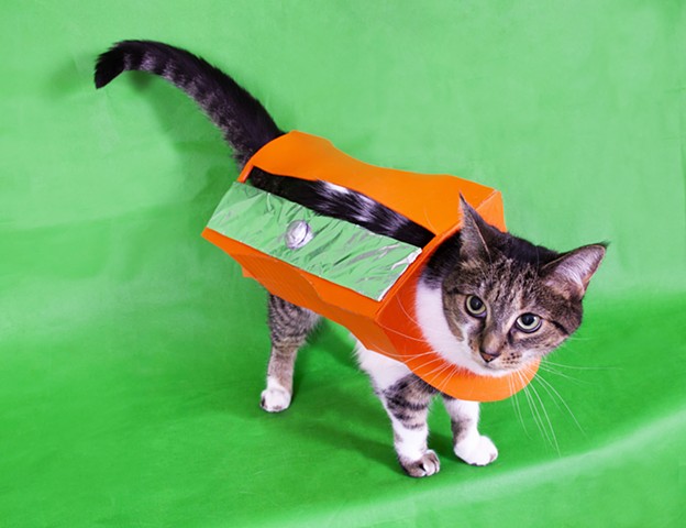 tabby and white cat wearing orange pencil sharperner costume on a bright green background