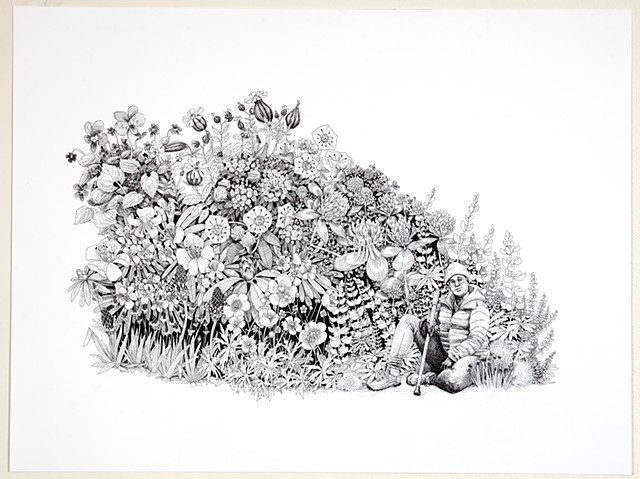 black ink drawing on white paper; a large mound of flowers of various sizes centered on the page, with a seated human wearing winter hat, puffy coat, hiking boots, and holding a cane at bottom right of the mound