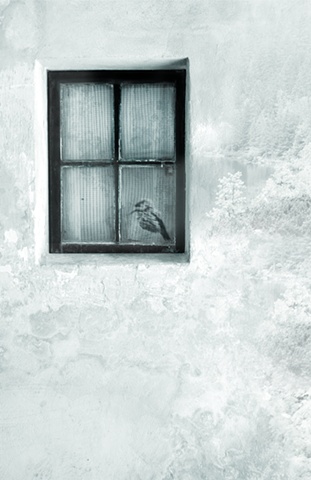 |Window Slovakia/Bird Poland