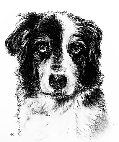 Charcoal Dog Portraits (click on dog to open up story)
