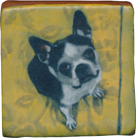 Ceramic handmade tile, hand painted with underglazes, high-fired, dog portrait of a Boston Terrier by Chantelle Norton.