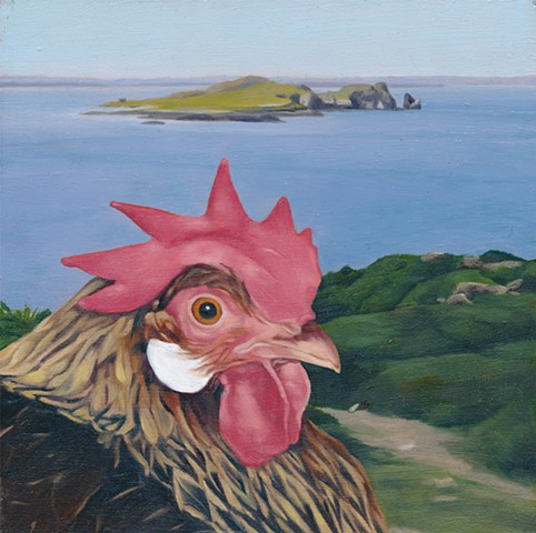 Chicken on Inis Mor, Aran Islands. Irish landscape with chicken. 
