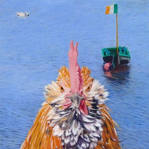 Rooster at Galway Bay, Galway, Ireland. Chicken in Irish landscape.