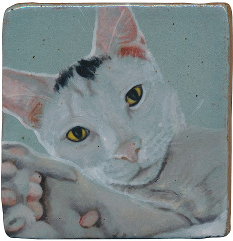 Ceramic handmade tile, hand painted with underglazes, high-fired, cat portrait by Chantelle Norton.