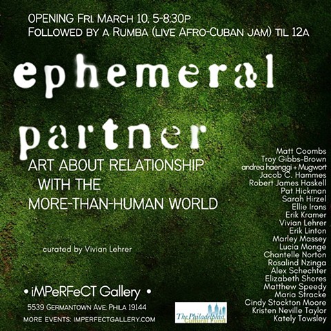Ephemeral Partner: Art About Relationship with the More-than-human World