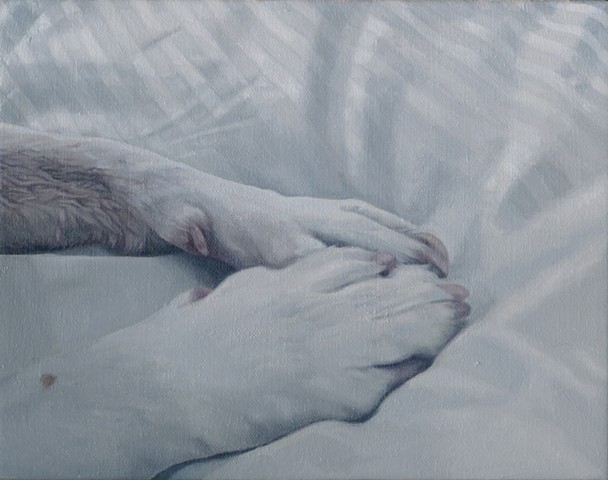 Oil painting of dog paws on bed sheets at dawn by Chantelle Norton.