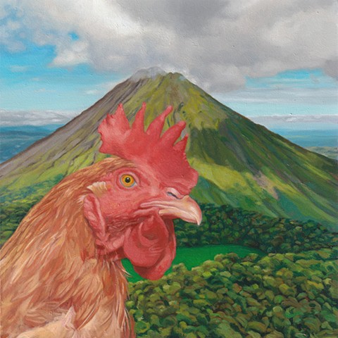 oil painting of chicken and Cerro Chato volcano by Chantelle Norton