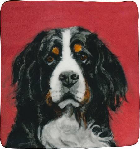 Ceramic handmade tile, hand painted with underglazes, high-fired, portrait of a Bernese Mountain dog by Chantelle Norton.