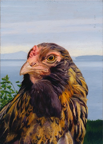 Oil painting on panel of a chicken in a landscape at North Hero on Lake Champlain by artist Chantelle Norton.