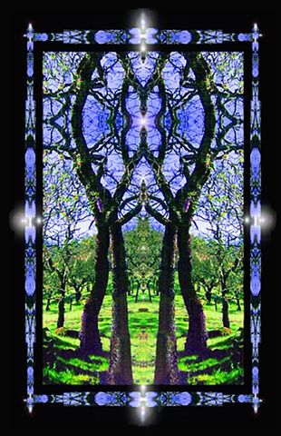 oak tree symmetry, sacred circles, dragonfly guardians, ancestors