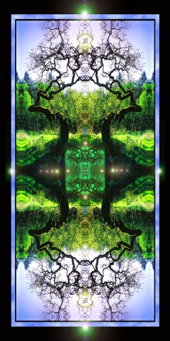 the Green Radiant Mind of Trees