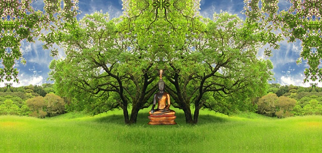 buddha meditating on hillside attracts flame of enlightened consciousness
