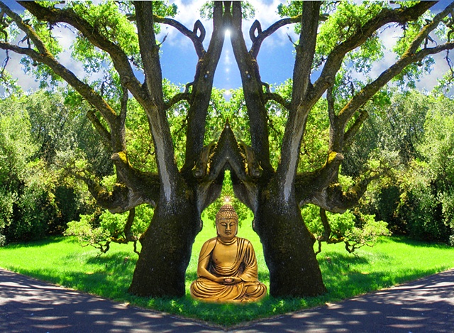 buddha of the crossroads, oak trees, cosmic light, meditation, choices of direction, life perspectives