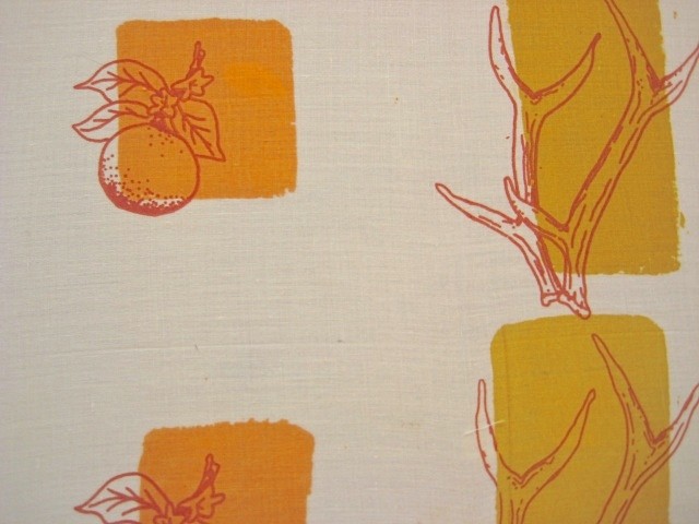 it's like comparing antlers to oranges. (detail)